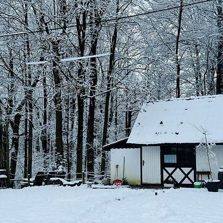Romantyczna Chatka Pisarzowice  Екстериор снимка