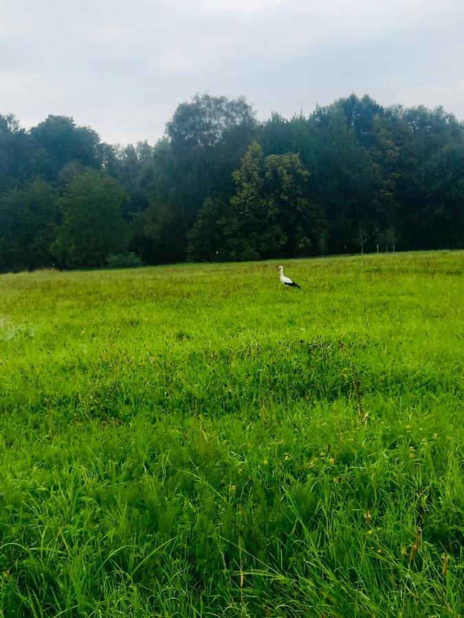 Romantyczna Chatka Pisarzowice  Екстериор снимка