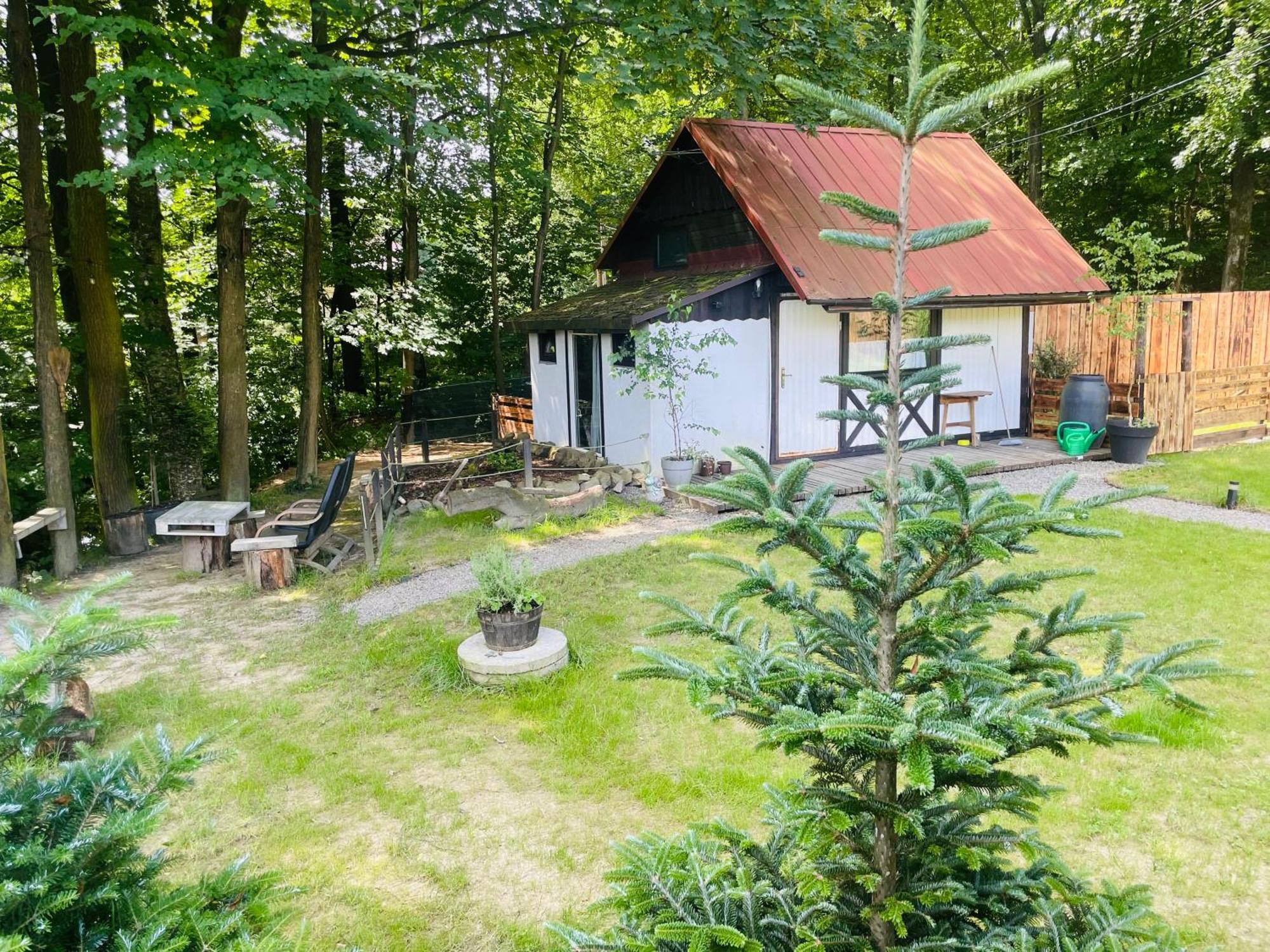 Romantyczna Chatka Pisarzowice  Екстериор снимка