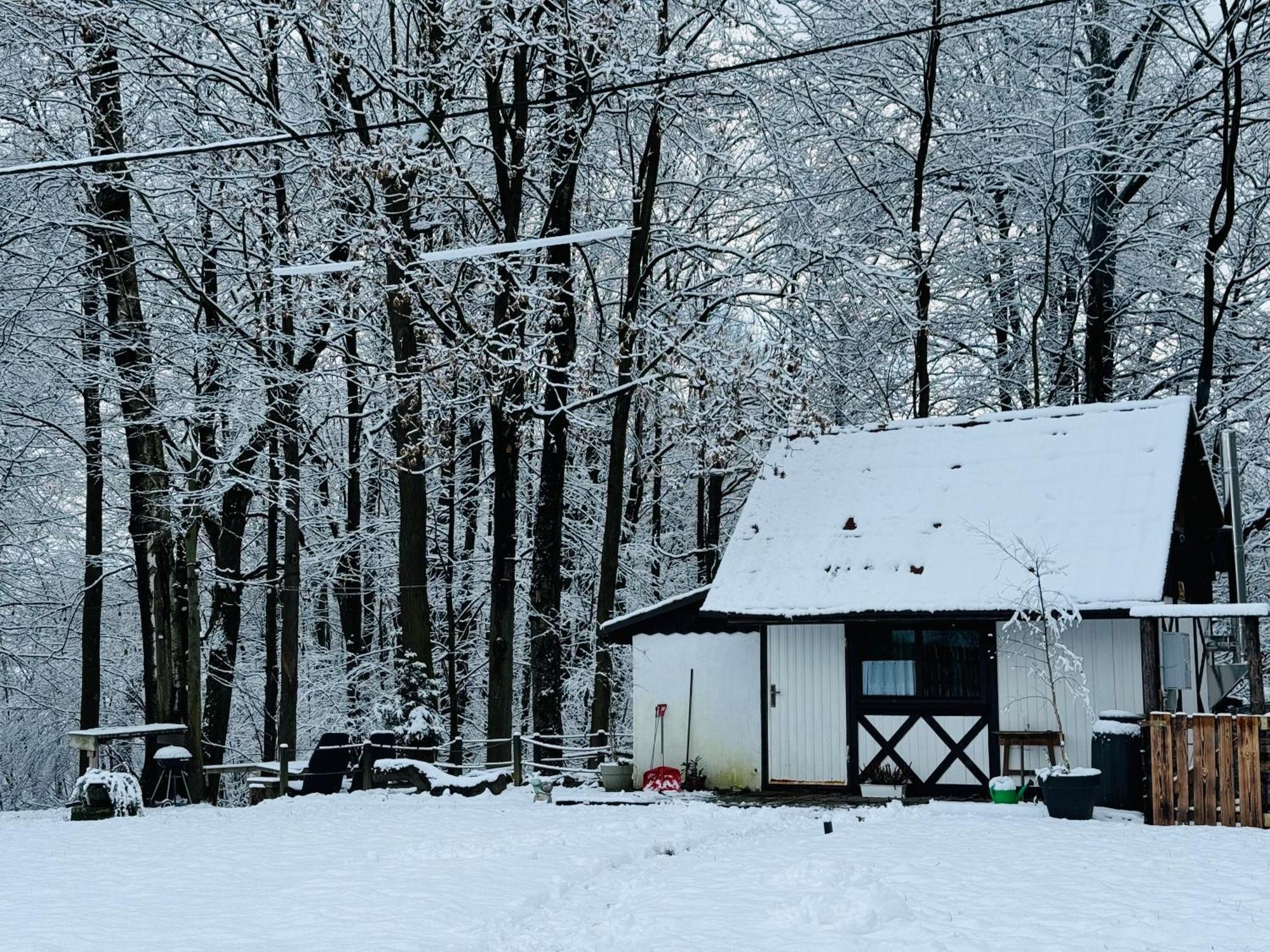 Romantyczna Chatka Pisarzowice  Екстериор снимка