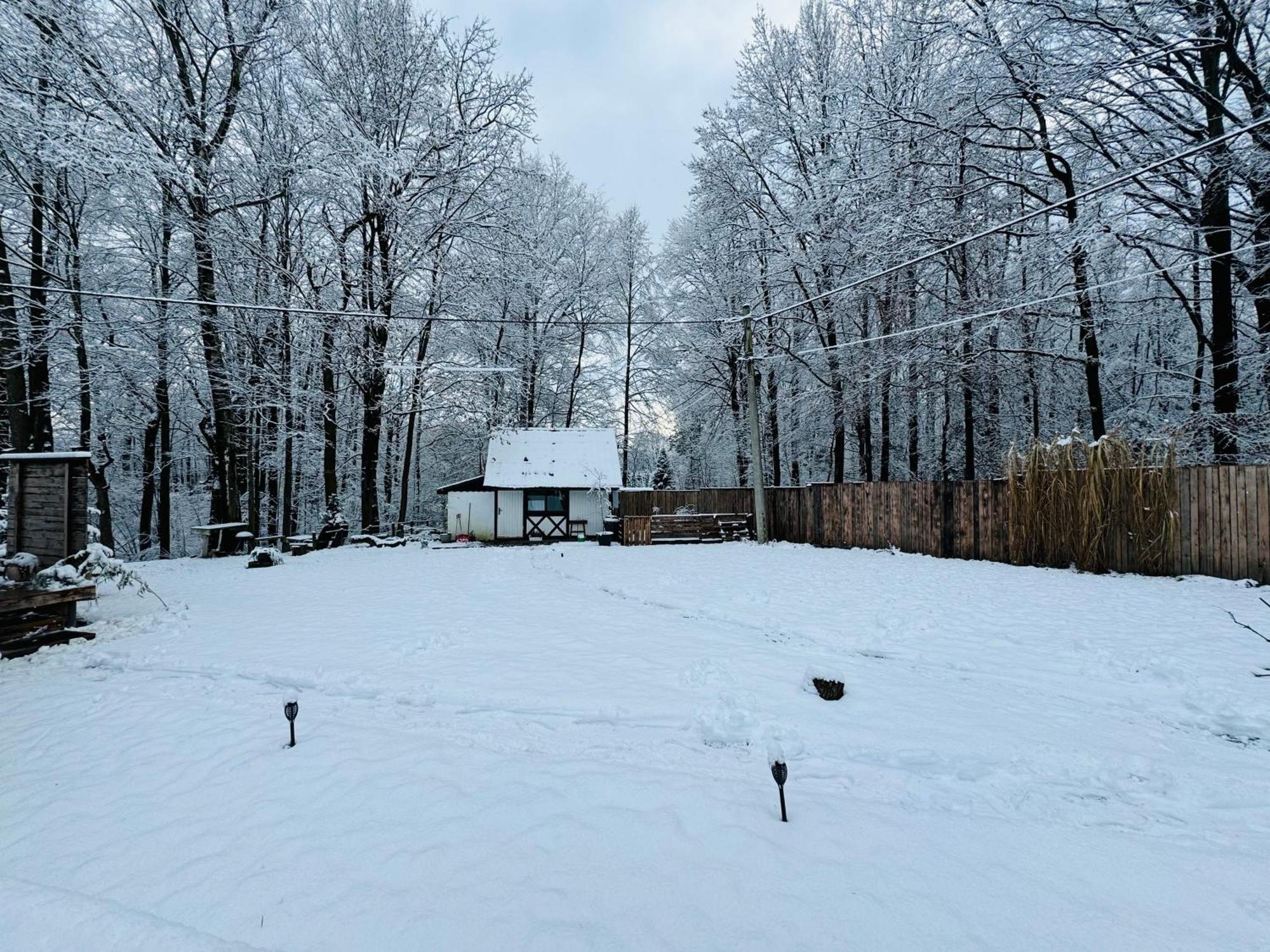 Romantyczna Chatka Pisarzowice  Екстериор снимка