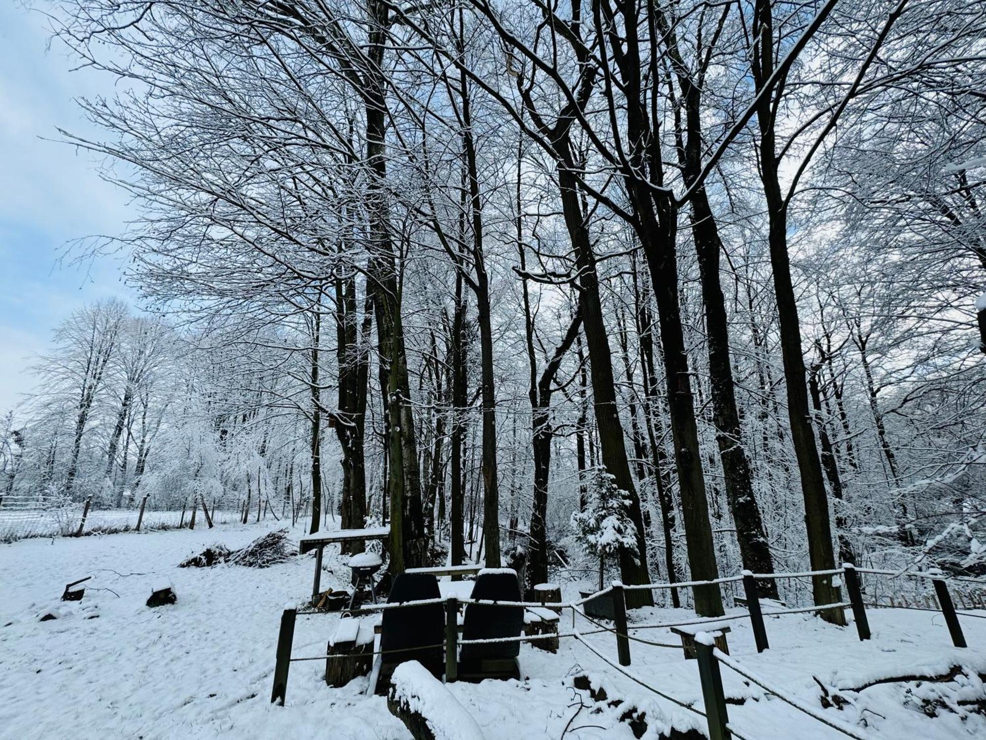 Romantyczna Chatka Pisarzowice  Екстериор снимка