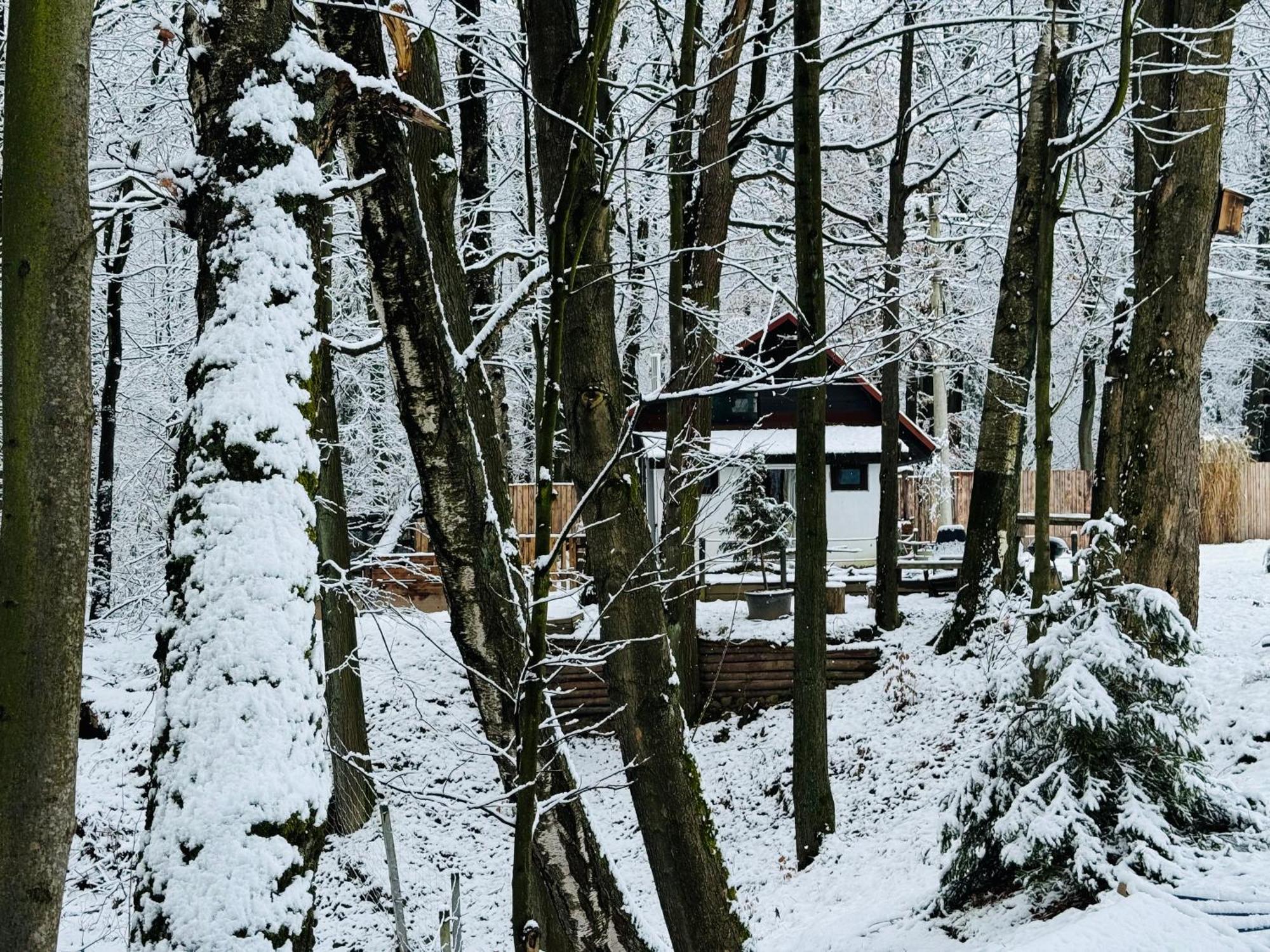 Romantyczna Chatka Pisarzowice  Екстериор снимка
